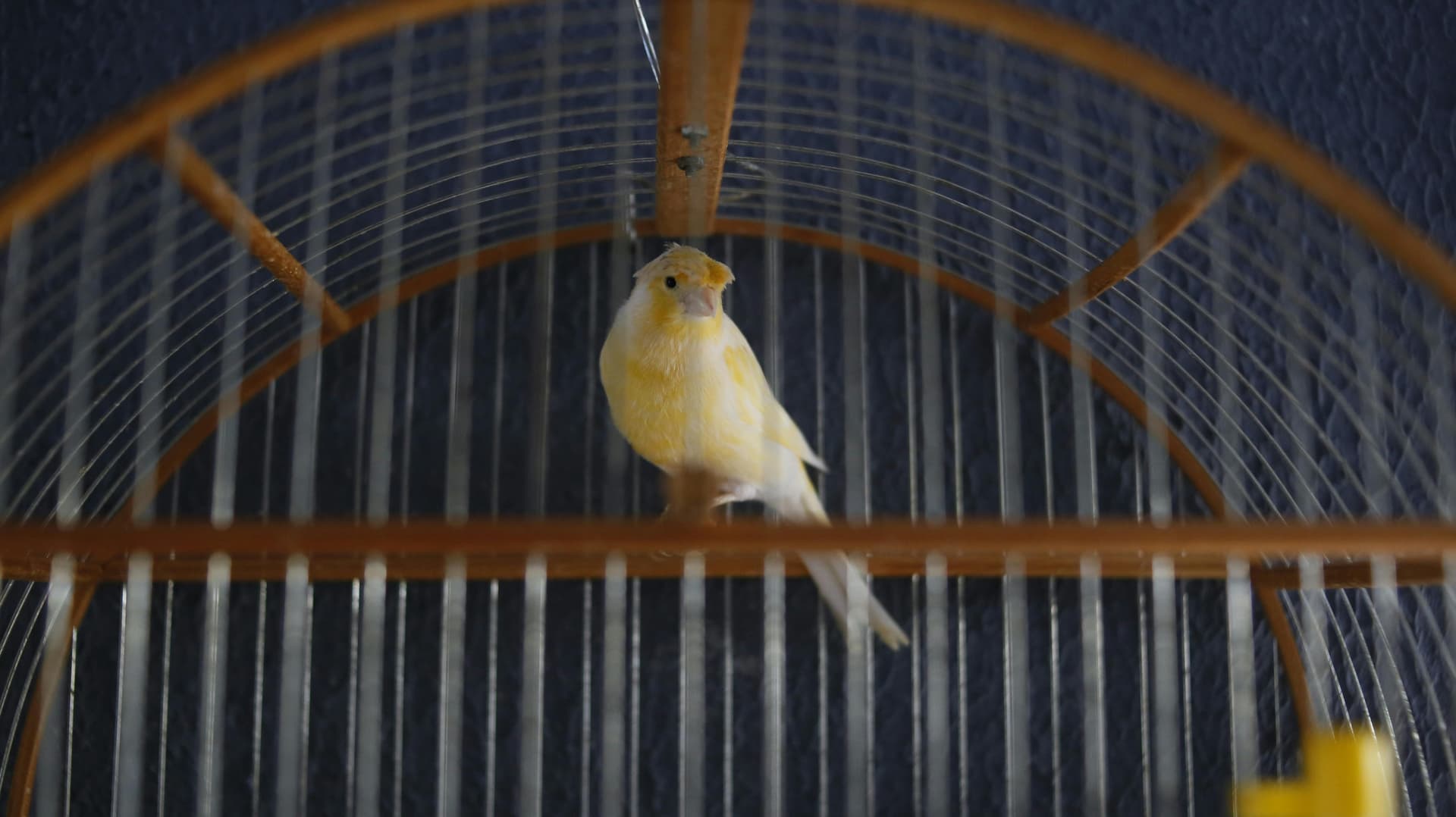 Canary deployment process